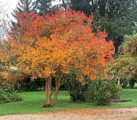 L'ocean 20 Prázdninový dům Queyrac