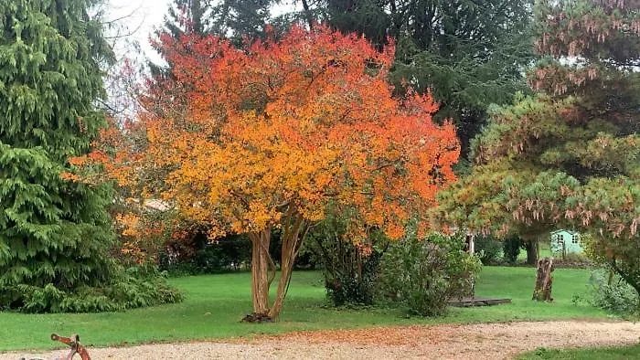 L'ocean 20 펜션 Queyrac